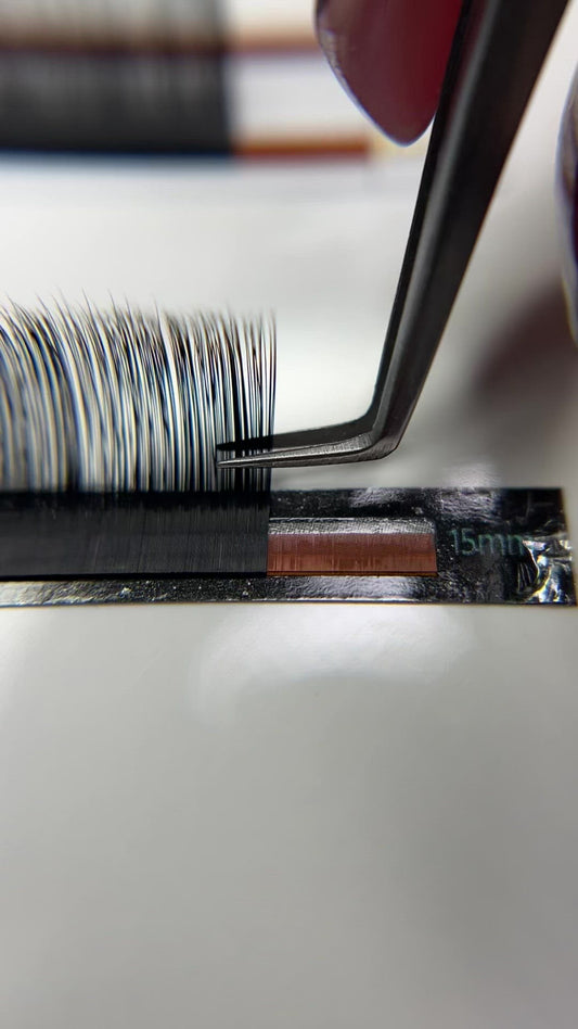 CC Curl 0.05 Volume Trays